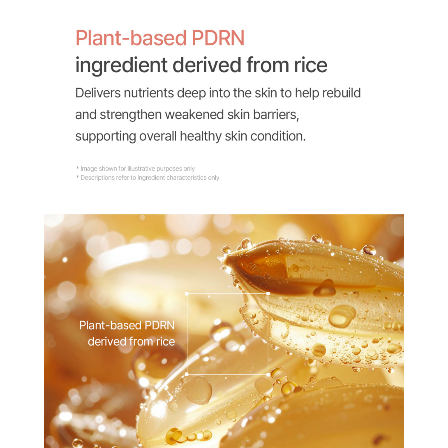 mixsoon Youthful Glass Skin Set